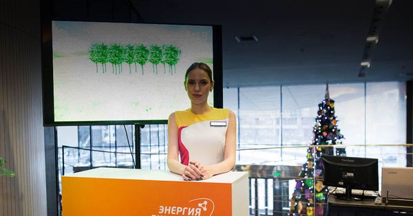 Case study: how a mobile app and virtual trees can engage employees in volunteering